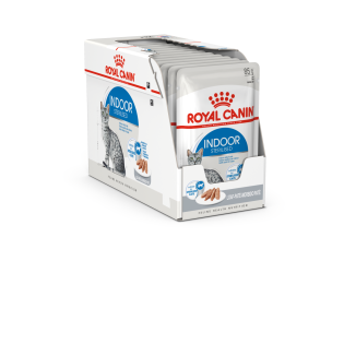 INDOOR MOUSSE 12X85G