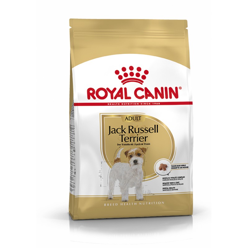 JACK RUSSELL ADULT