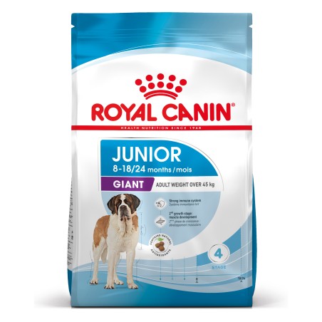 JUNIOR GIANT