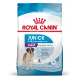 JUNIOR GIANT