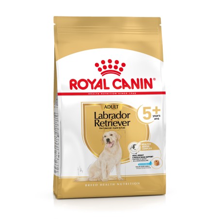 LABRADOR ADULT5+