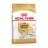 LABRADOR ADULT5+