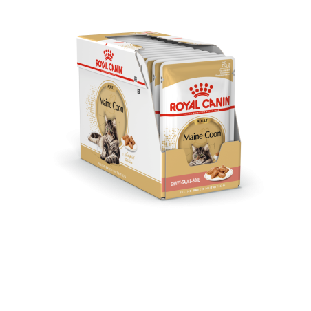 MAINE COON ADULT 12X85G