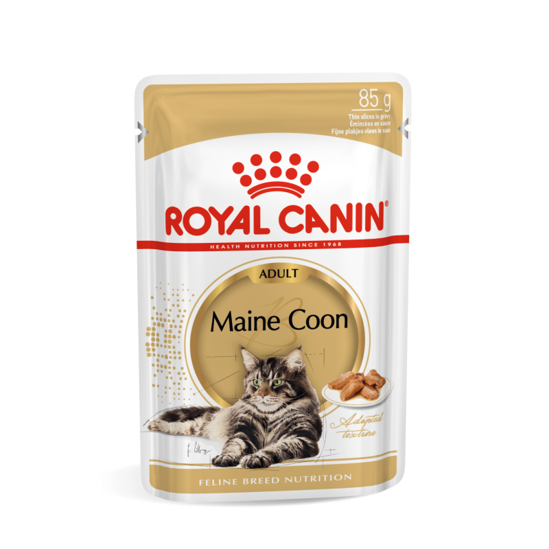 MAINE COON ADULT 12X85G