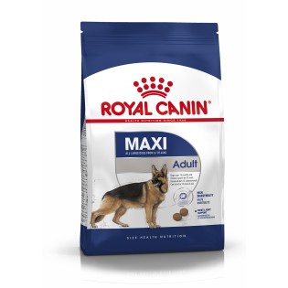 MAXI ADULT