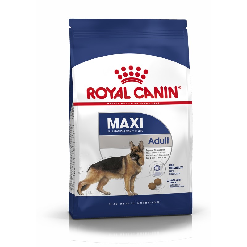 MAXI ADULT