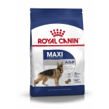MAXI ADULT