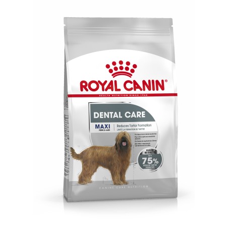 MAXI DENTAL CARE