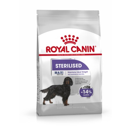 MAXI STERILISED