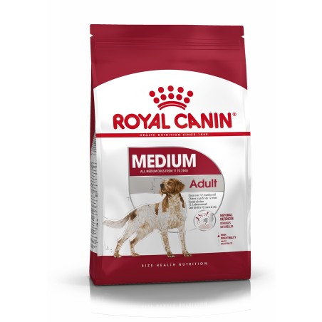 MEDIUM ADULT