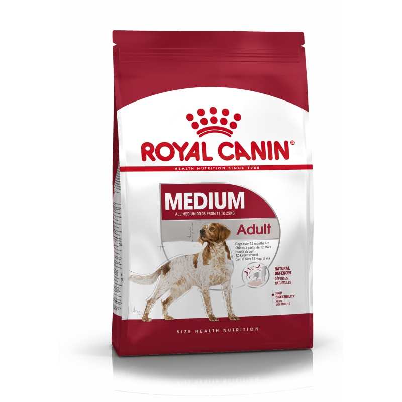 MEDIUM ADULT