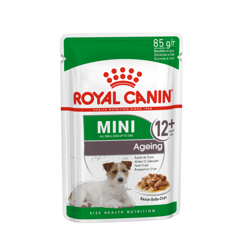 MINI AGEING 12+ 12X85G