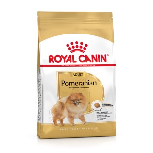 POMERANIAN 1,5KG