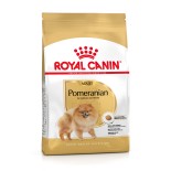 POMERANIAN 1,5KG