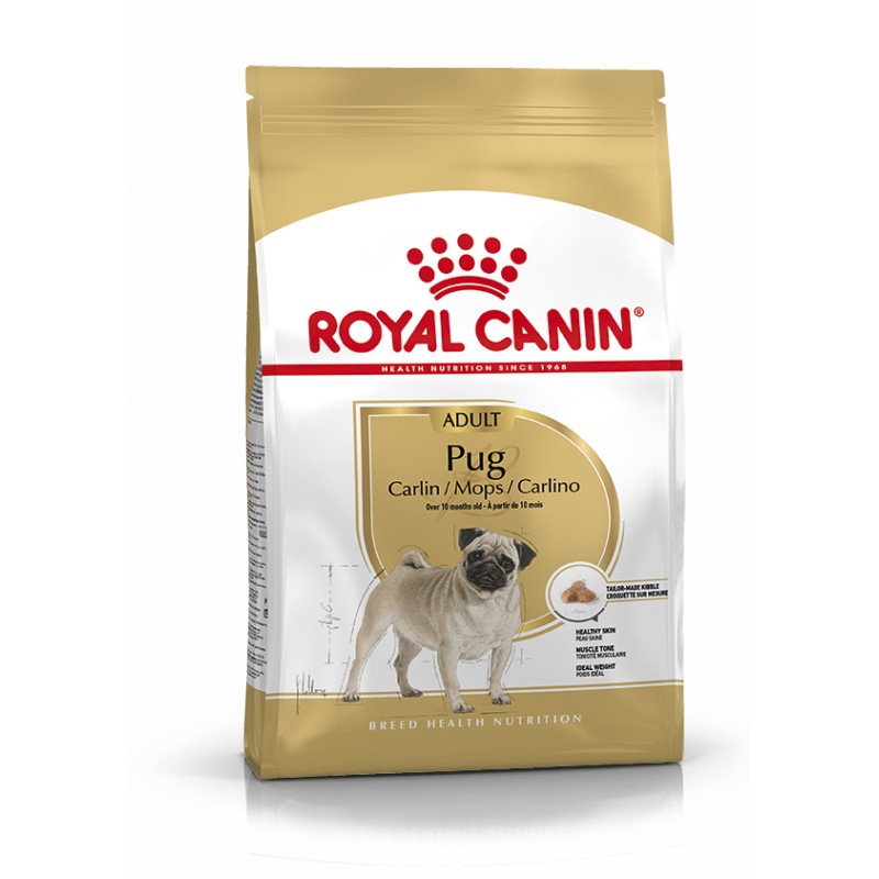 PUG ADULT 1,5KG