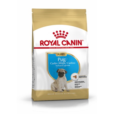 PUG JUNIOR 1,5KG