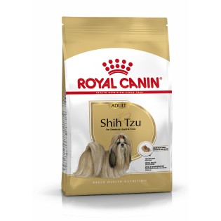 SHIH TZU ADULT
