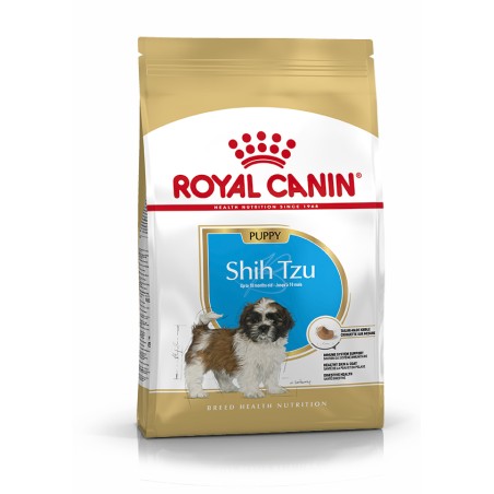 SHIH TZU JUNIOR