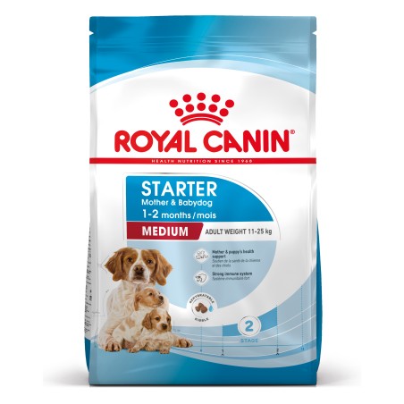 STARTER M&B MEDIUM