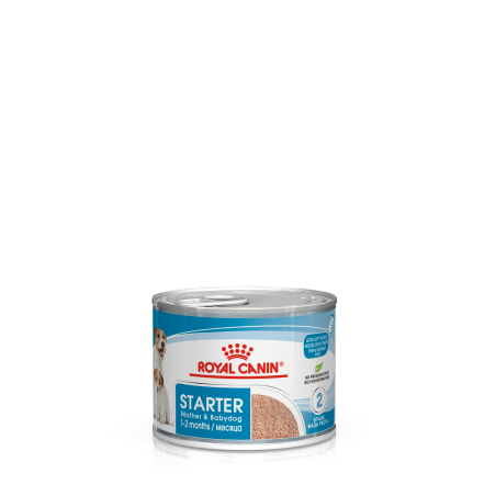 STARTER MOUSSE 195G