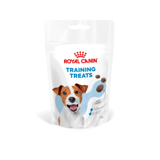 TRAINING TREATS 110G