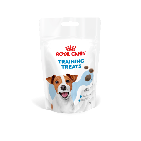 TRAINING TREATS 110G