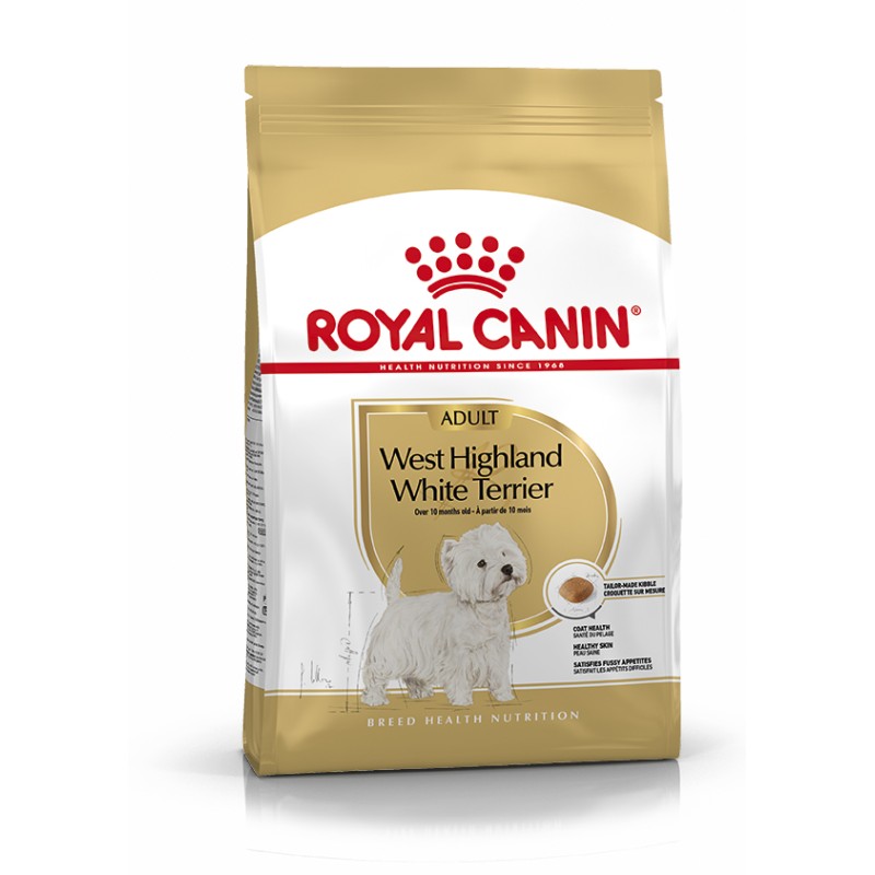 WESTIE ADULT