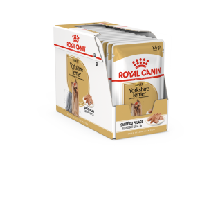 YORKSHIRE ADULT 12X85G