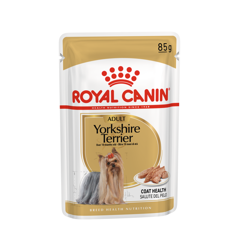 YORKSHIRE ADULT 12X85G