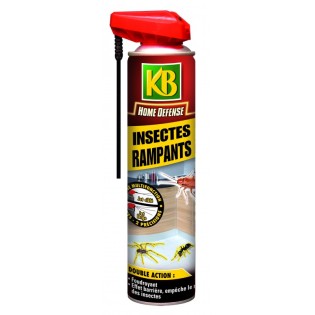 Insectes rempants  400ml