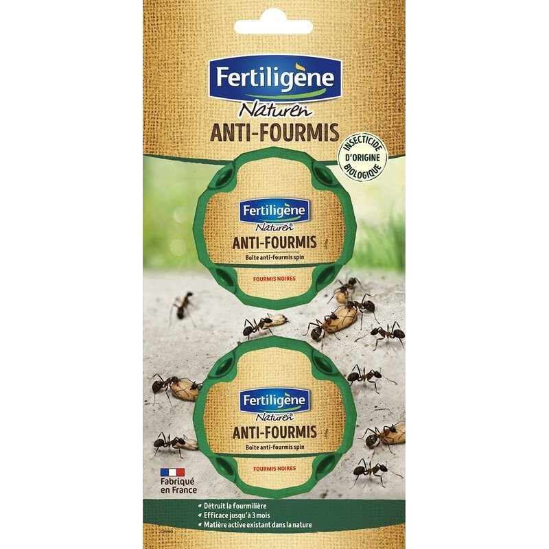 Fourmis boites appats