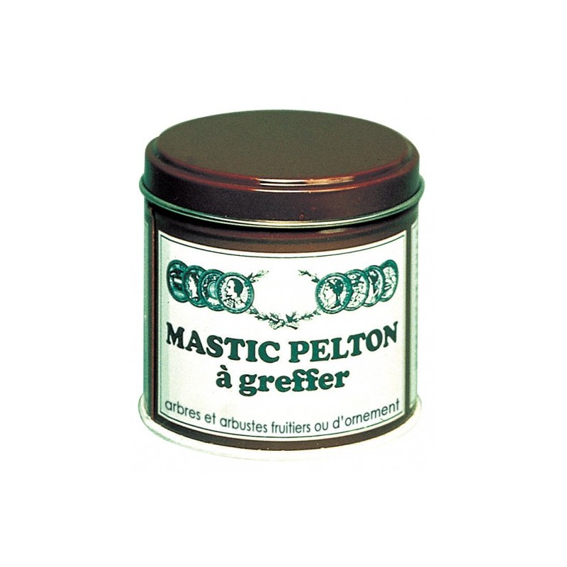 Mastic à greffer 200g