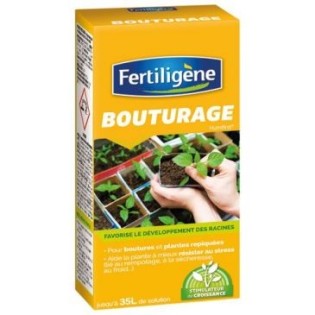 Bouturage 100ml