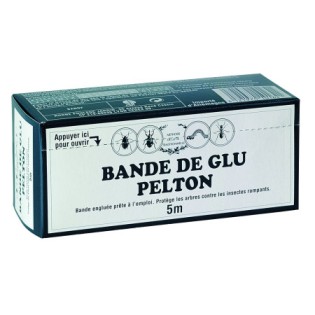 Bande de glu