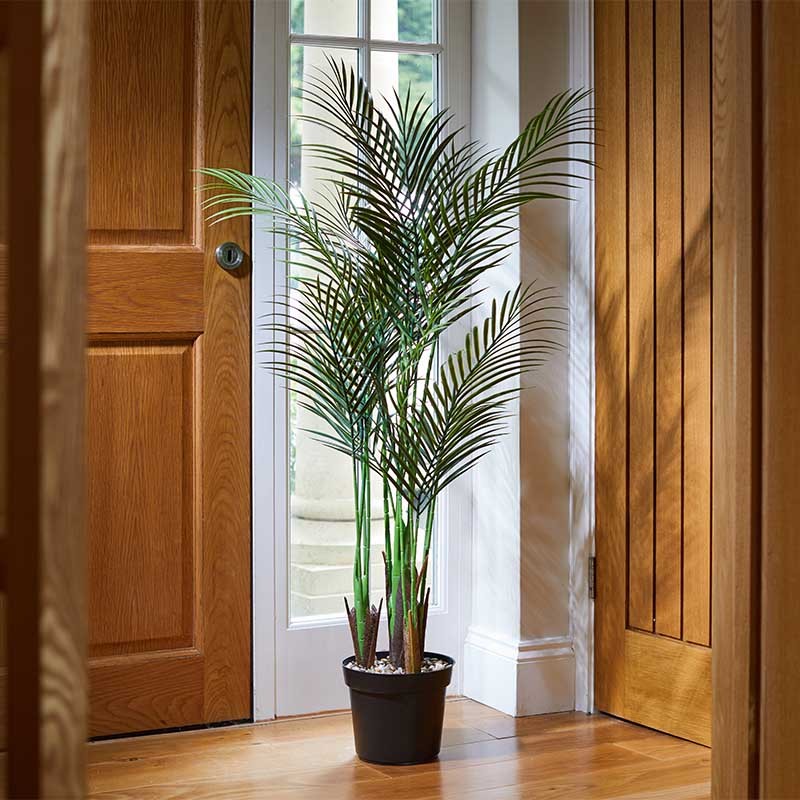 Palme Phoenix 124cm
