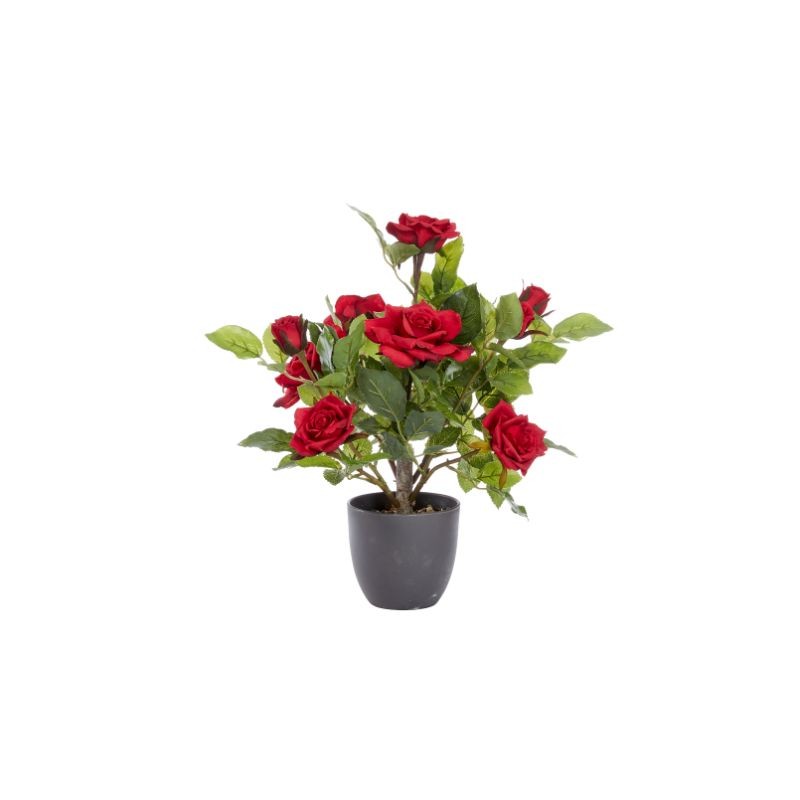 Rosier Ruby Bed