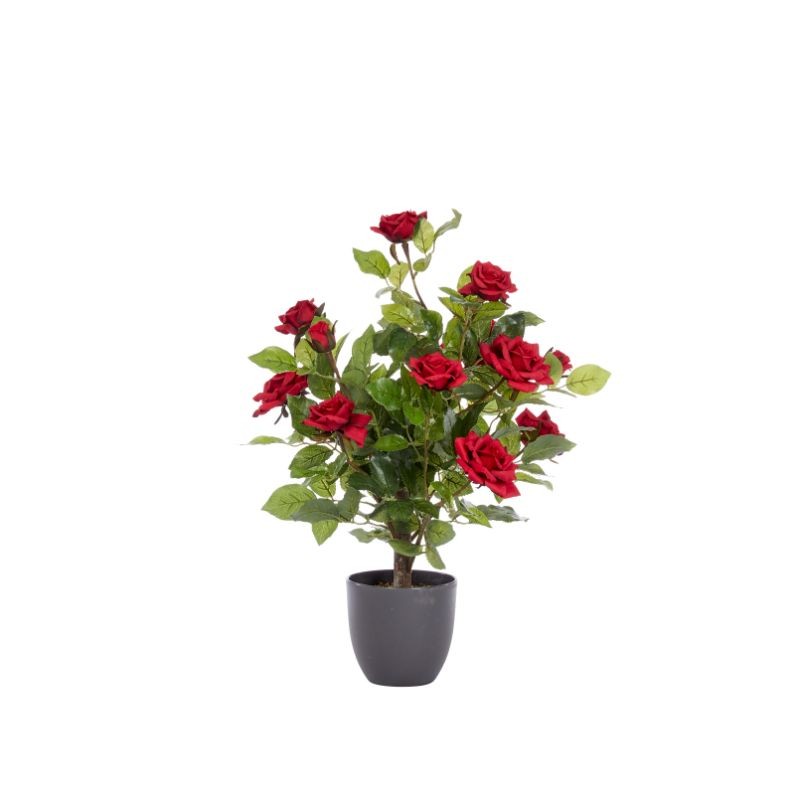 Rosier Ruby Bed