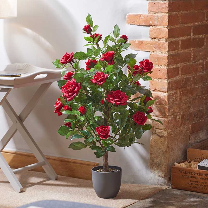 Rosier Ruby Bed