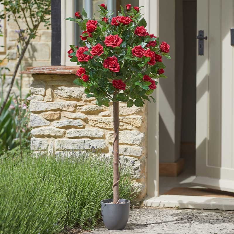 Rosier Ruby Bed