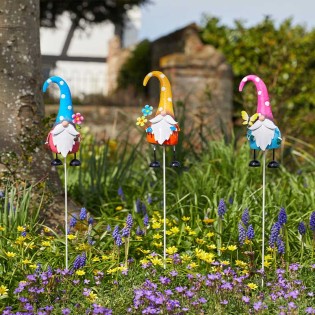 Pique Sorcier Wizard