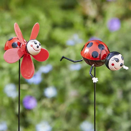 Loony Coccinelles