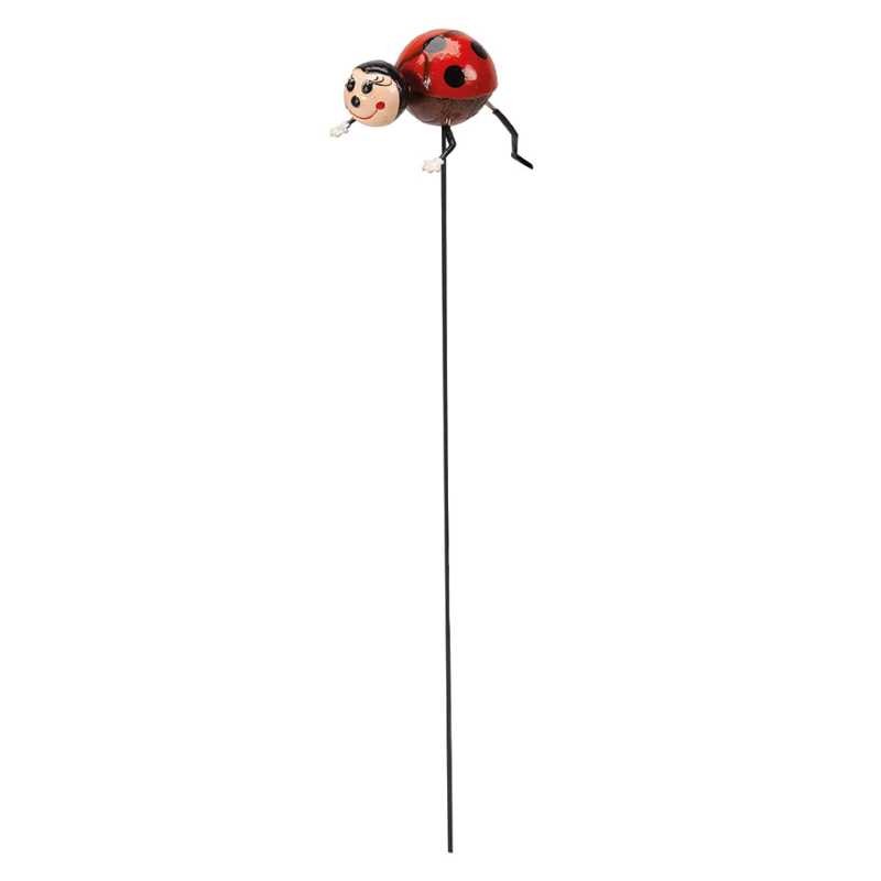 Loony Coccinelles