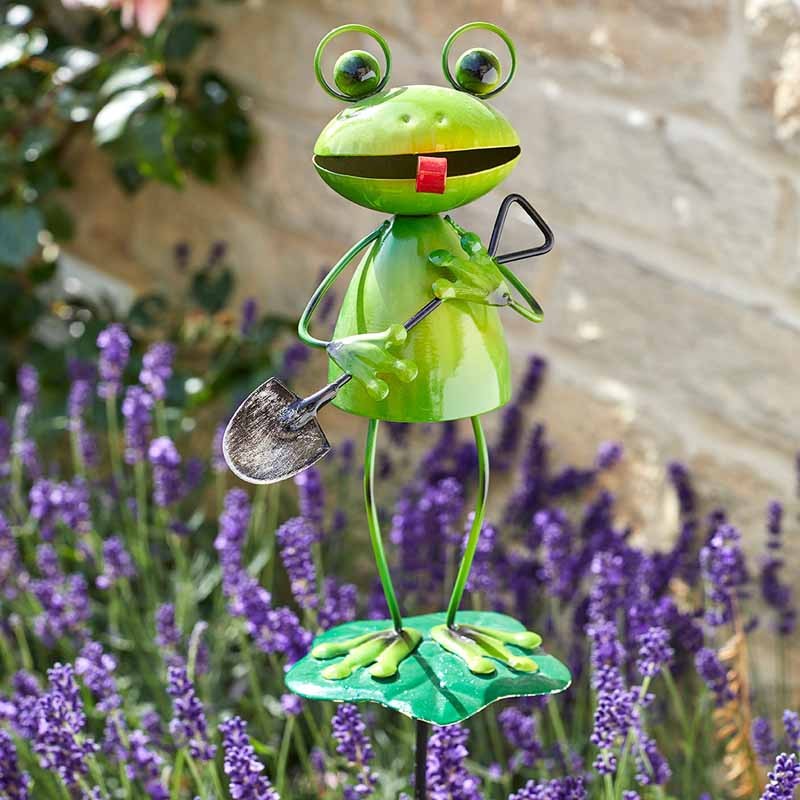 Barmy Grenouilles