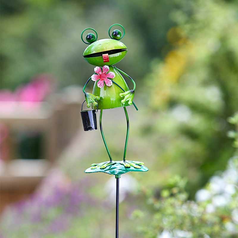 Barmy Grenouilles