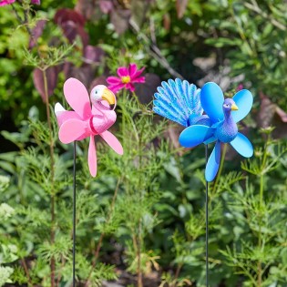 Flamant rose et paon