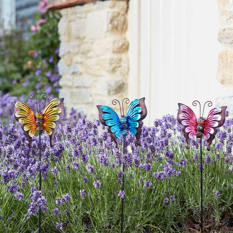 Loony papillons