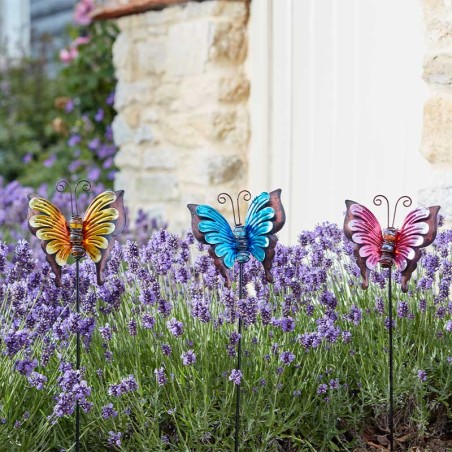 Loony papillons