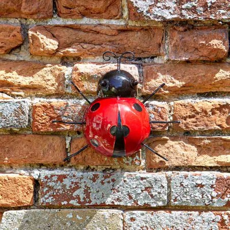 Coccinelle