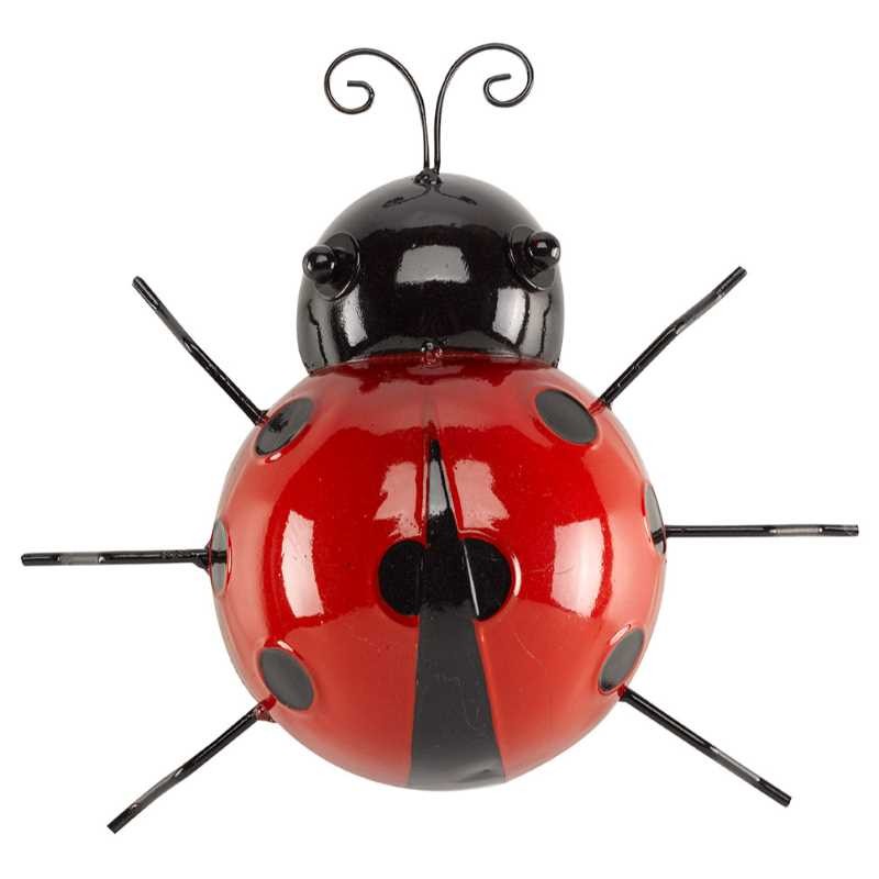 Coccinelle
