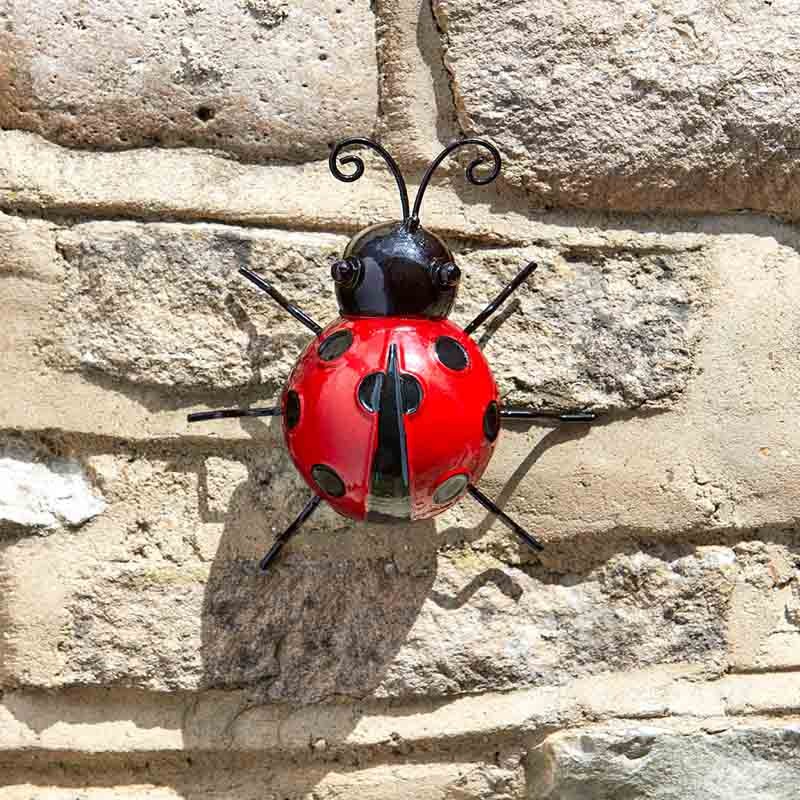 Coccinelle